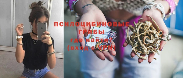 прущий лед Абаза